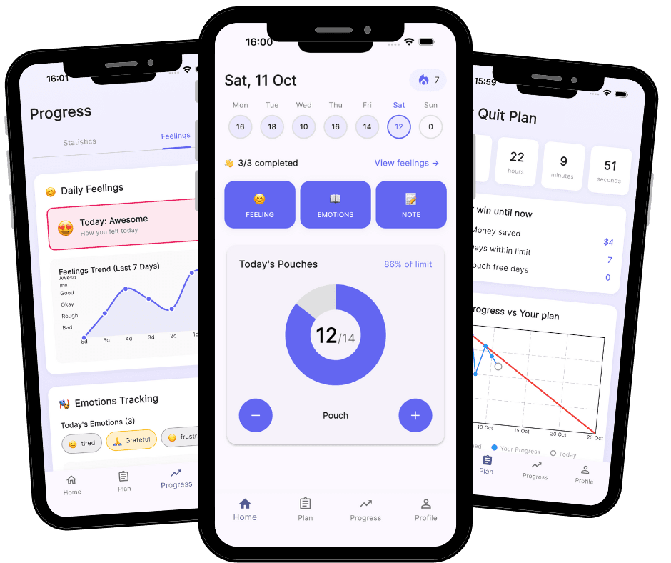 Pouch Quit App Screenshot